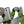 Load image into Gallery viewer, CONQUEST ALL-TERRAIN GRP