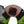 Load image into Gallery viewer, CONQUEST ALL-TERRAIN GRP